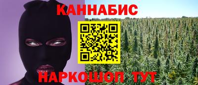 apvp Можга