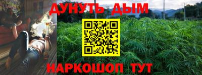 apvp Можга